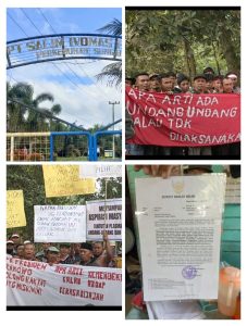 37 Tahun Tidak Beri Hak Plasma ke Masyarakat, PT. Salim Ivomas Pratama Diduga Kangkangi UU dan Rekom Bupati