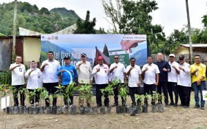 Gerakan Bersama untuk Kaldera Toba, Tanam Pohon Serentak Digelar di Tujuh Kabupaten Sekawasan Danau Toba