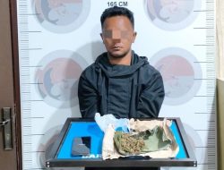 Satresnarkoba Polres Bener Meriah Bekuk Pelaku Diduga Simpan Ganja di Rumah Kebun