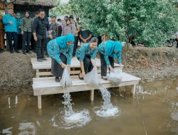 Kahiyang Ayu Tabur 15.000 Benih Ikan, Dorong Swasembada Pangan di Langkat