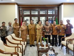 Pemprov Sumut Dukung Percepatan Optimalisasi Kelistrikan Pedesaan