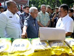 Dukung Gerakan Pangan Murah Serentak Nasional, Sumut Gelar Pasar Murah di 394 Titik Lokasi di 33 Kabupaten/Kota