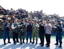 Kasum TNI Tinjau Keberhasilan Satgas PKH Amankan Ribuan Kubik Kayu Ilegal