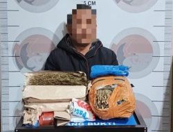 Miliki Barang Bukti Ganja 3 Kilo Gram, Warga Bener Meriah Ditangkap Polisi