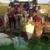 Dukung Swasembada Pangan, Babinsa Turun ke Sawah Bantu Petani Panen Padi di Aceh Tamiang