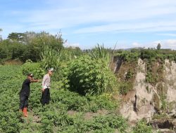 Waspada di Jalur Rawan, Kasat Lantas Polres Aceh Tengah Pastikan Jalan Blang Mancung – Simpang Balek Masih Aman Dilalui