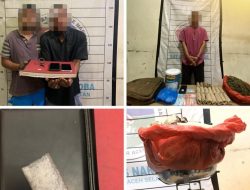 Satresnarkoba Polres Aceh Selatan Ungkap Dua Kasus Narkotika: Sabu dan Ganja Diamankan
