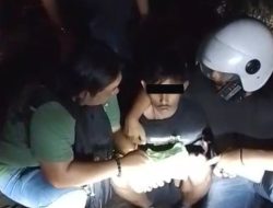 Satres Narkoba Polrestabes Medan Tangkap Pengedar Mariyuana, 100 Gram BB Diamankan