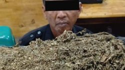 Gaji Tak Cukup, Satpam Bengkel Pengedar Ganja di Medan Ditangkap Polisi