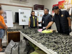 Polrestabes Medan Temukan 3 Kg Sabu, 10.000 XTC dan 1.778 Pod Getar di Gudang Pinang 