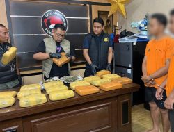 Polrestabes Medan Gerebek Gudang Penyimpanan Narkoba Berkedok Kandang Ayam : 18 Kg Ganja Diamankan